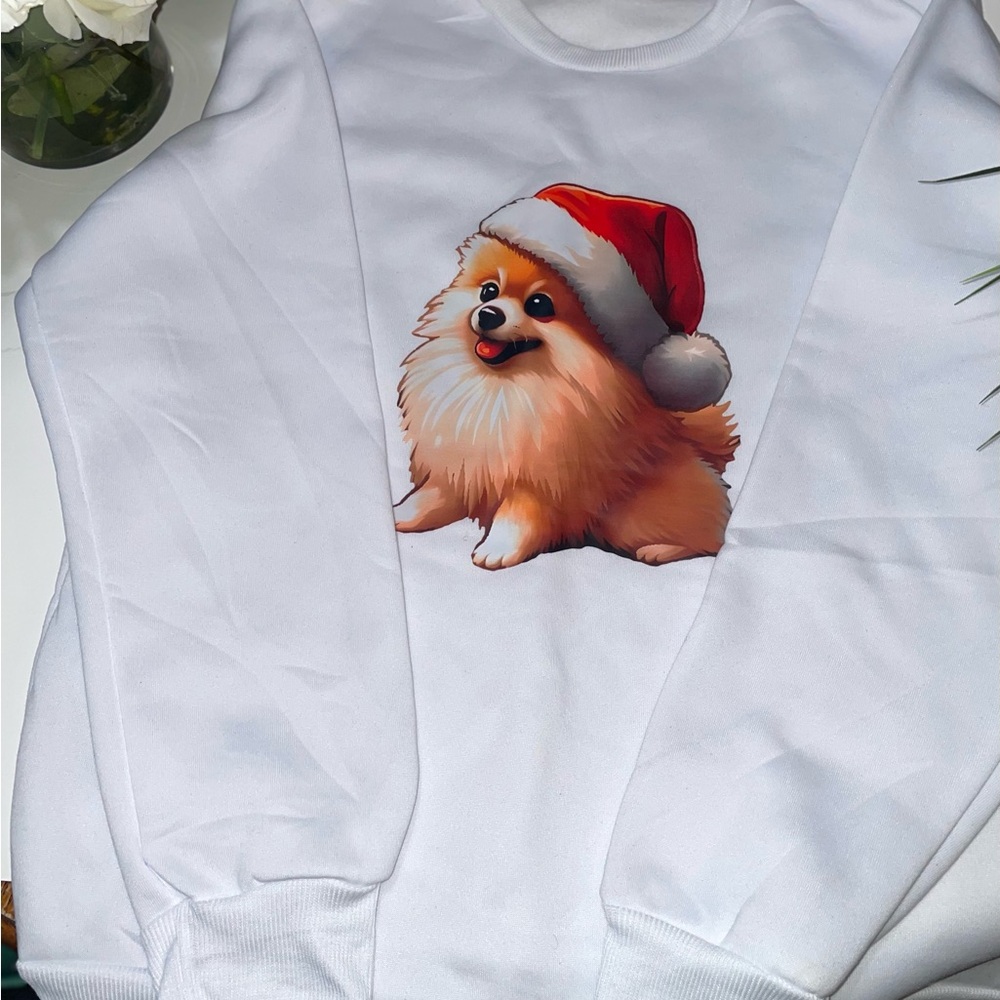 Sweatshirt with Santa Hat Design